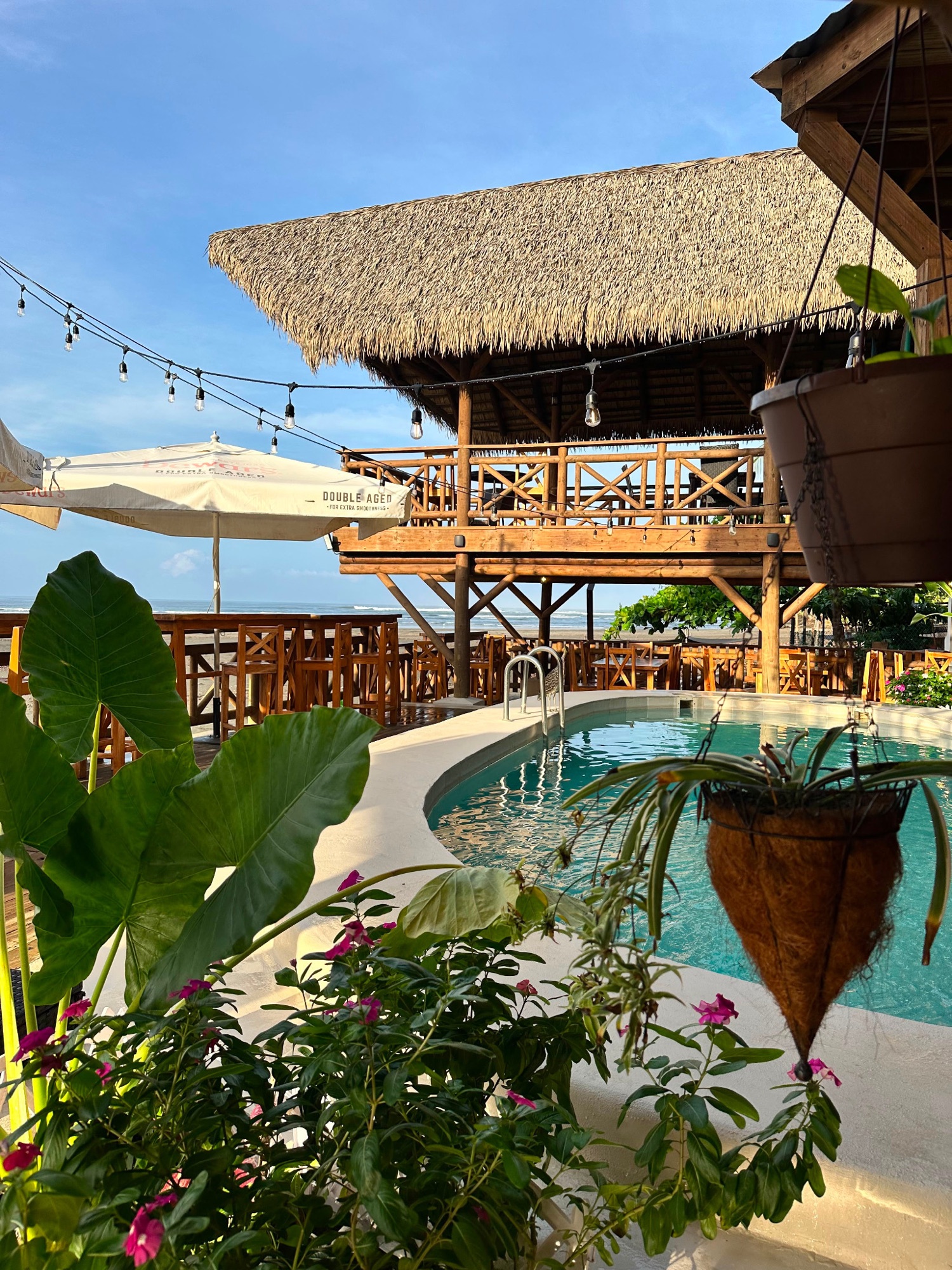 The swimming pool surrounded by tropical greenery